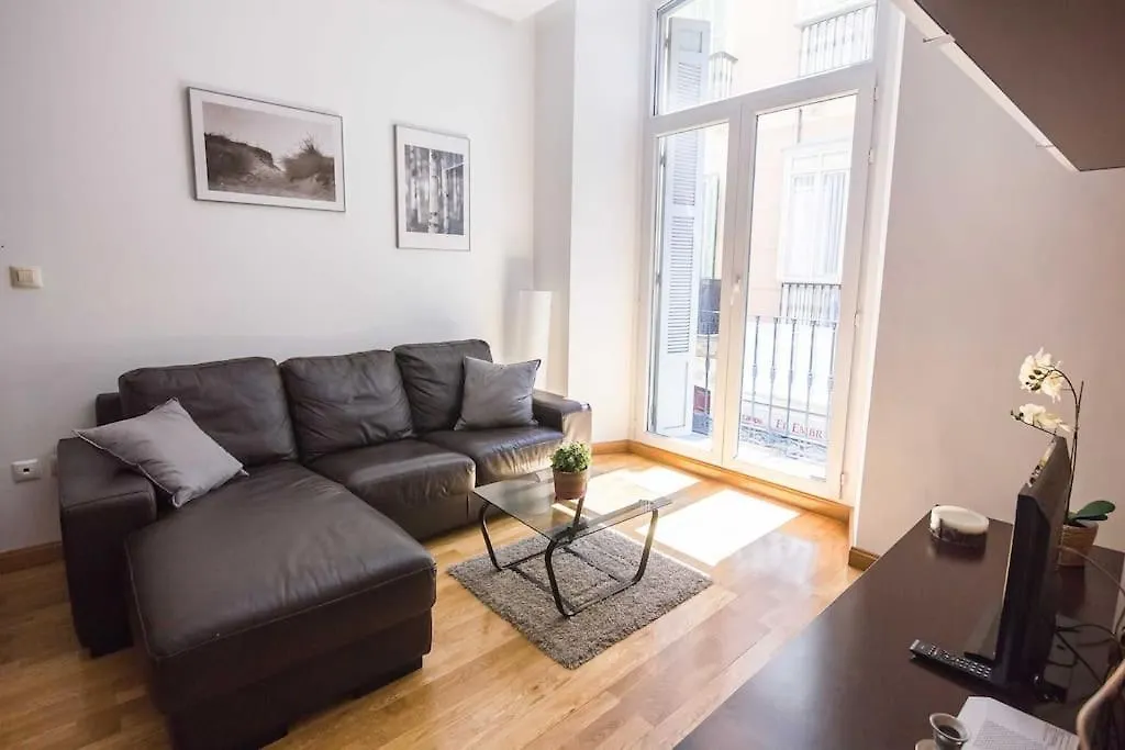 Apartment City Centre Larios Street Malaga Spain